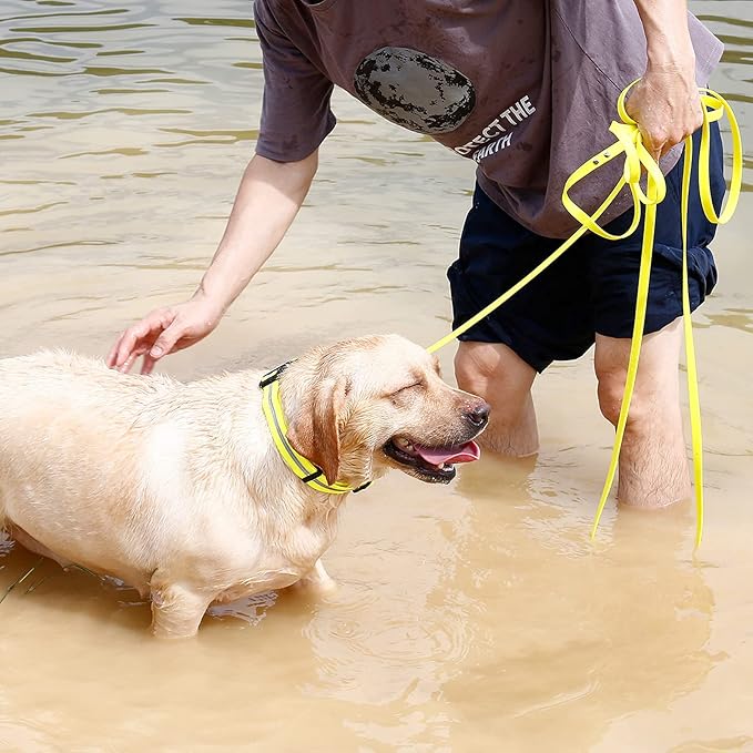 Long Leash Waterproof Training Longline Outdoor Dog Leash Great for Training, Beach, Yard, Play, Camping NIMBLE