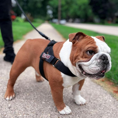 BULLHUG Harness – Made for Larger Chested Dogs Like English Bulldogs, French Bulldogs, Pugs & More. Stops Dogs from Pulling & Choking on Walks (Black, Small) BULLHUG