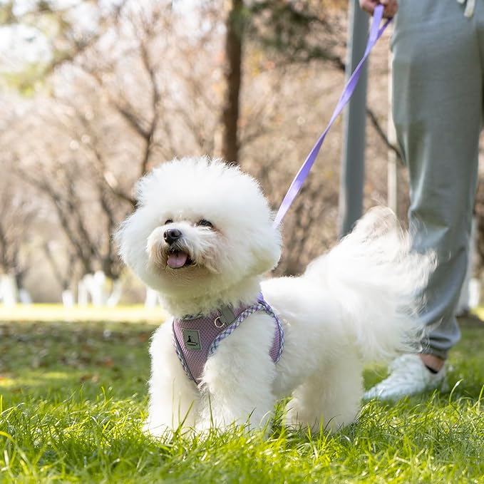Dog Harness and Leash Set, No Pull Pet Harness for Small Dogs Easy Walking,Soft Breathable Small Dog Harness,Adjustable Reflective Step in Vest Harness for Puppy,Kitten, Cats TomteNisse