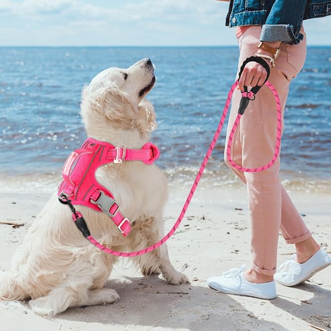 BARKBAY No Pull Dog Harness 3 Buckles Large Reflective Dog Harness with Front Clip and Easy Control Handle for Walking Training Running with ID tag Pocket(Pink,M) BARKBAY