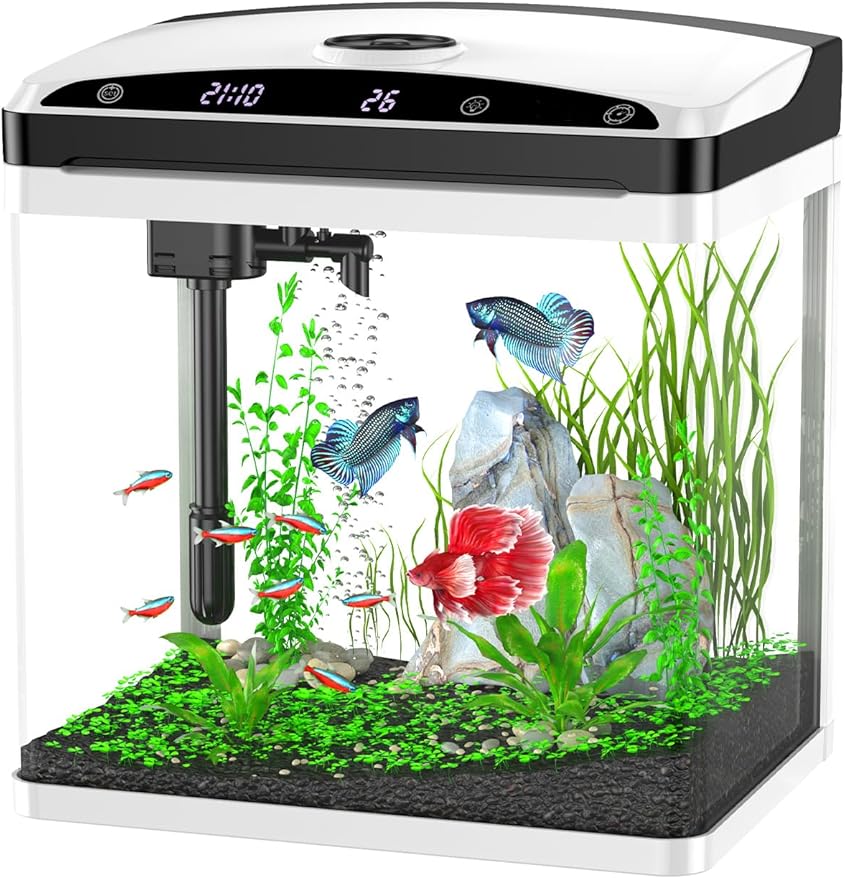 Fish Tank, Aquarium Fish Tank 3 Gallon with SmartClean Technology, 7 Color Light, Temperature Display for Betta Shrimp Guppy Jellyfish Goldfish PAWPICO