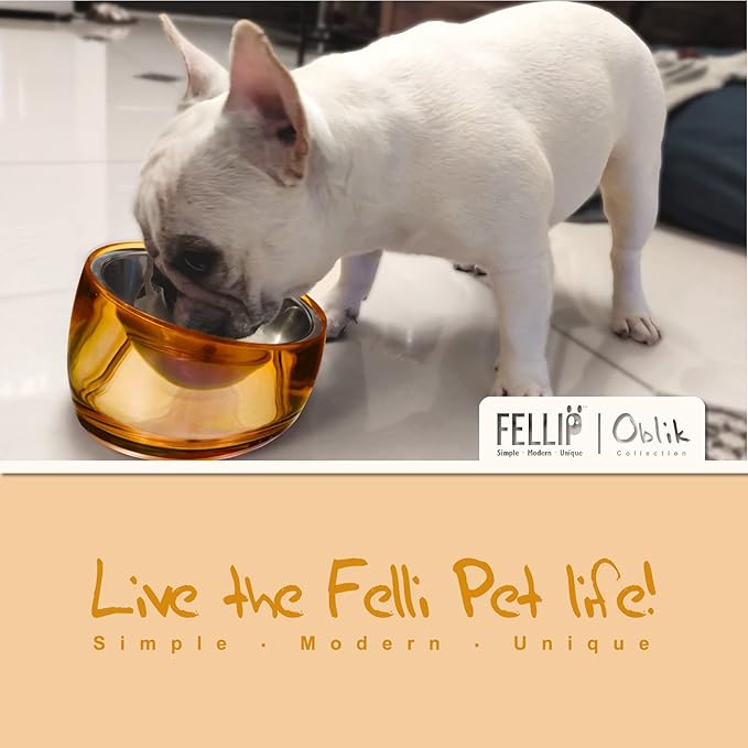 Felli Pet Oblik Acrylic Raised Dog Food Water Bowl Stainless Steel Slanted Oval Dish for Short Leg Puppy & Small Medium Pet, Elevated Tilted Metal Feeder Angled Plastic Spill Proof (1.5Cups, Gold) - PAWPICO