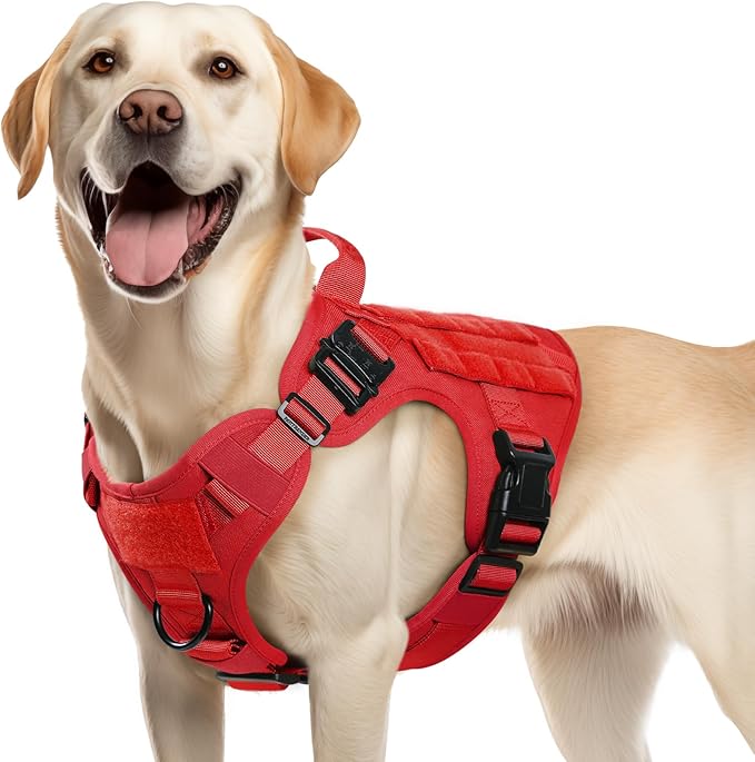 rabbitgoo Tactical Dog Harness Medium Sized, Heavy Duty Pet Harness with Handle, No-Pull Service Vest Medium Breed, Adjustable Military Dog Vest for Training Hunting Walking, Red, M rabbitgoo