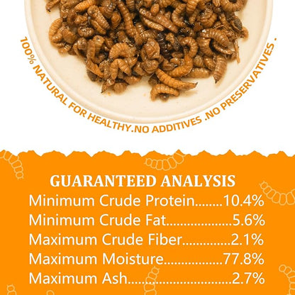 6 Pack Canned Black Soldier Fly Larvae for Reptiles, Fish, Birds and Small Animals, BSF, Healthy High Protein Treat, Reptile Bird Fish Food 1.2 Ounces Each Jadingfarm