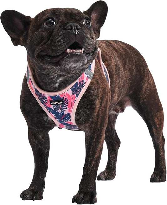 AMTOR Small Dog Harness with Leash Set, No Escape Easy Walk Puppy Harnesses for Training Walking, Step-in Reflective Soft Dogs Vest for XS S Medium Extra-Small Large Sized Dog(Pink Palm) AMTOR