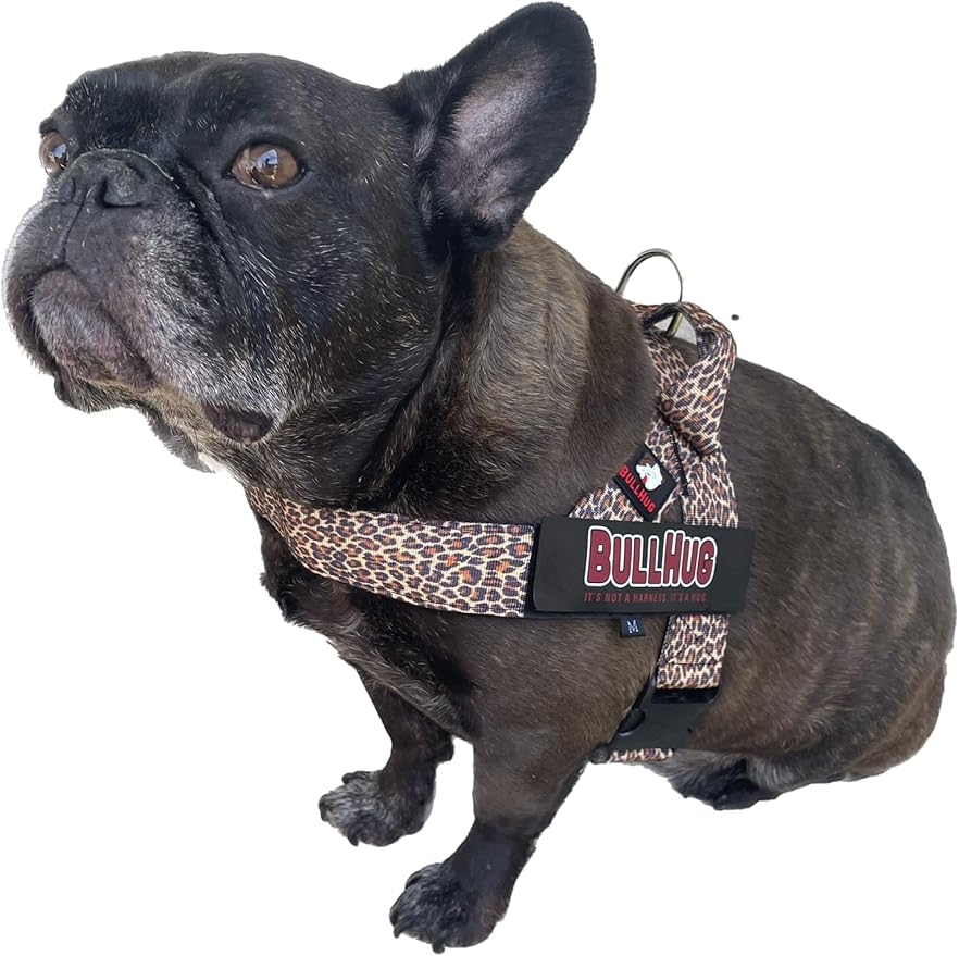 BULLHUG Harness – Made for Larger Chested Dogs Like English Bulldogs, French Bulldogs, Pugs & More. Stops Dogs from Pulling & Choking on Walks (Leopard, XL) BULLHUG