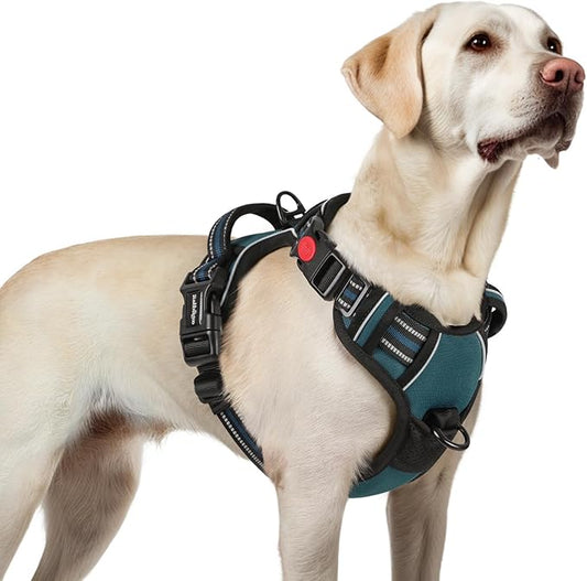 rabbitgoo Dog Harness for Large, No Pull Pet Harness with 3 Buckles, Adjustable Soft Padded Pooch Vest with Instant Control Handle, Easy Walking Reflective Pet Vest for Large Dogs, Blue Coral, L rabbitgoo