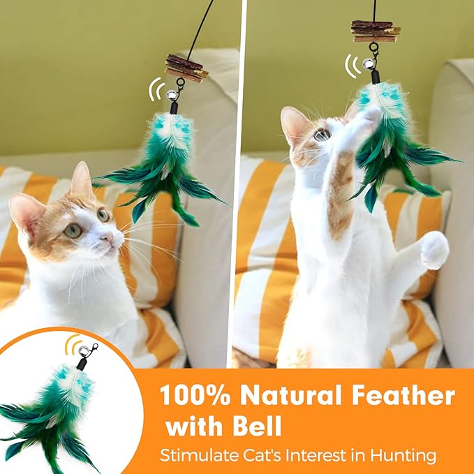 Cat Wand Toy, Cat Feather Toys with Silvervine & Bells, 2 * Cat Teaser Wand & 6 * Teaser Refills, Extra Long 38.5" Wire Cat Wand, Cat Toy for Indoor Cats & Kitten & Kitty - PAWPICO