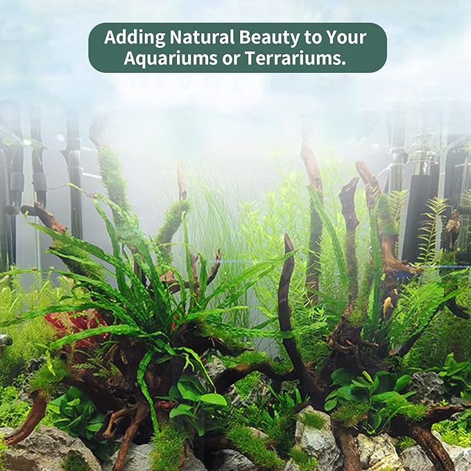 5 Pcs Driftwood Branches Aquarium Wood Decoration Natural Fish Tank Habitat Decor Wood for Lizard Assorted Size-Small Hamiledyi