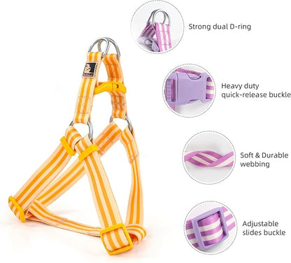 Striped Dog Harness Collar and Leash Set, Polyester Webbing Dog Collar Easy Walking and Training Dog Harness and Leash 3-in-1 Suit Adjustable Dog Harness Collar Leash Set for Dogs(Orange, L) Tiffpaws