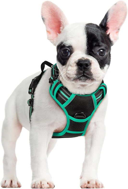 rabbitgoo Dog Harness No Pull with 2 Leash Clips, Adjustable Soft Padded, Reflective Oxford No Choke Pet Vest with Easy Control Handle for Small Dogs, Black & Turquoise, S rabbitgoo