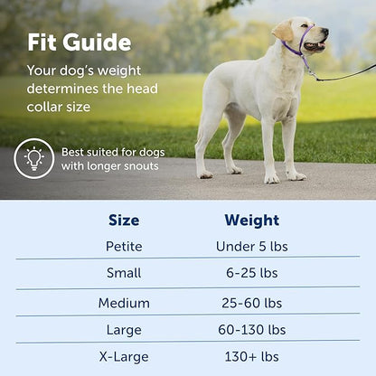 PetSafe Gentle Leader No-Pull Dog Headcollar - The Ultimate Solution to Pulling - Redirects Your Dog's Pulling for Easier Walks - Helps You Regain Control - Large, Royal Blue PetSafe