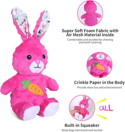 DODODOLA Dog Toys Stuffed Dog Toy with Crinkle Paper Cute Rabbit Plush Bunny Squeaky Dog Easter Toys Dog Chew Toys for Medium Large Breed - PAWPICO