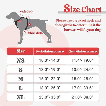 rabbitgoo Dog Harness No Pull with 2 Leash Clips, Adjustable Soft Padded, Reflective Oxford No Choke Pet Vest with Easy Control Handle for Medium Sized Dogs, Black & Red, M rabbitgoo