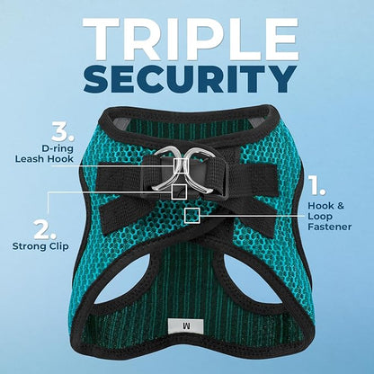 Voyager Step-in Air Dog Harness - All Weather Mesh, Reflective, No Pull Harness for Small, Medium Dogs, Cats - Secure with Hook & Loop Fastener, Buckle, Double D-Rings - Turquoise 2-Tone, L BestPetSuppliesLLC