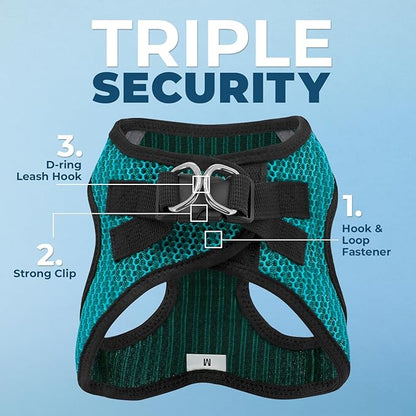 Voyager Step-in Air Dog Harness - All Weather Mesh, Reflective, No Pull Harness for Small, Medium Dogs, Cats - Secure with Hook & Loop Fastener, Buckle, Double D-Rings - Turquoise 2-Tone, M BestPetSuppliesLLC