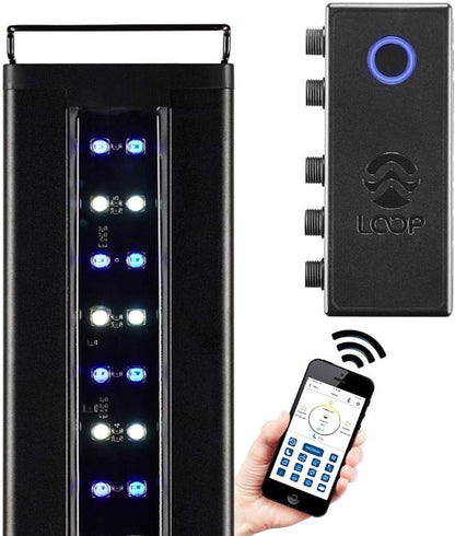 CURRENT USA 18-24" Inch Orbit Marine IC Loop LED Saltwater Reef Marine Aquarium Light with Bluetooth App Control | Wireless Lighting & eFlux Wave Pump Control for Fish Tank (4204) Current+USA
