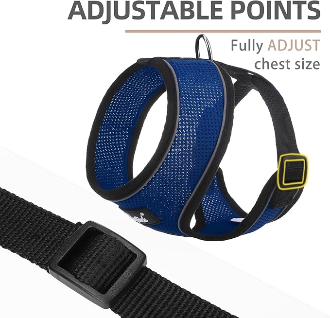 PUPTECK Soft Mesh Dog Harness and Leash Set Pet Puppy Cat Comfort Padded Vest No Pull Harnesses, Solid NavyBlue, S PUPTECK
