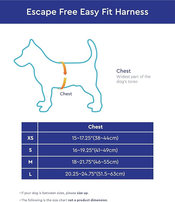 Gooby Escape Free Easy Fit Harness - Blue, Small - No Pull Step-in Patented Small Dog Harness with Quick Release Buckle - Perfect On The Go No Pull Harness for Small Dogs or Medium Dog Harness Gooby