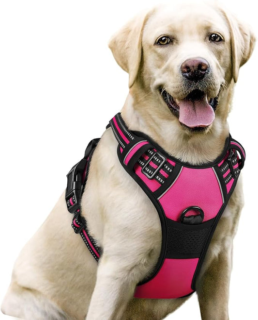 rabbitgoo Dog Harness No Pull with 2 Leash Clips, Adjustable Soft Padded, Reflective Oxford No Choke Pet Vest with Easy Control Handle for Large Dogs, Hot Pink, L rabbitgoo