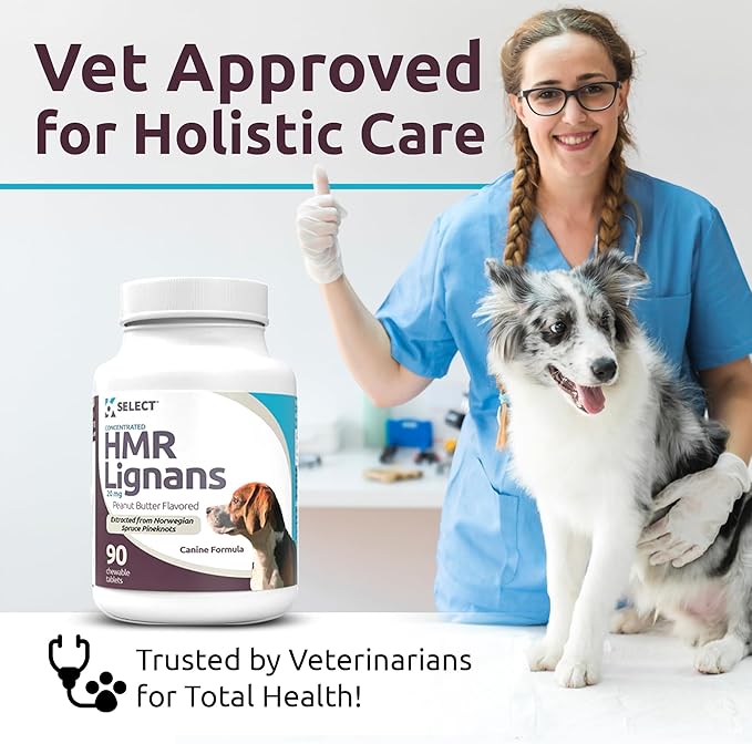 K9 Select HMR Lignans for Dogs - Enhancer for Overall Wellness, Immune Support for Dogs - Norway Spruce Extract Holistic Dog Health - Digestion, & Coat Care - Peanut Butter, 20mg, 90 Tablets LignansForLife