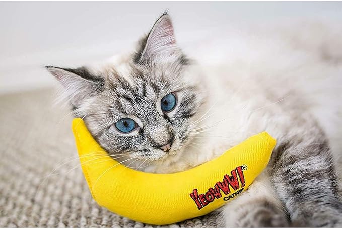 YEOWWW! DuckyWorld 100% ORGANIC CATNIP Leaf & Flower Cat Toy BANANA 3 PACK - PAWPICO