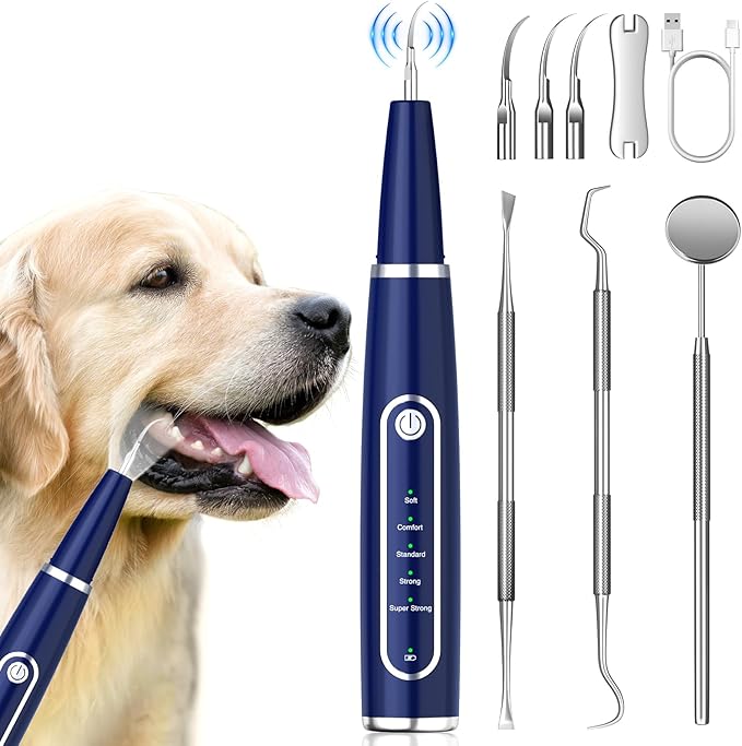 Dog Plaque Remover for Teeth, Dog Teeth Cleaning Kit with LED Light and 5 Modes, Teeth Cleaning for Dogs and Cats,Blue MIONJO