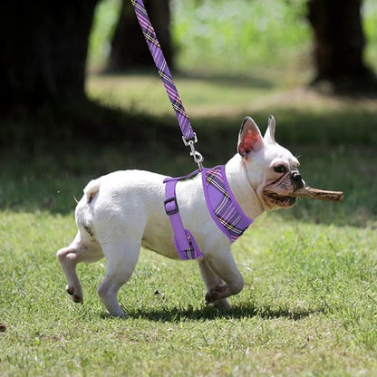 PUPTECK Soft Mesh Dog Harness and Leash Set Pet Puppy Cat Comfort Padded Vest No Pull Harnesses, Purple, M PUPTECK
