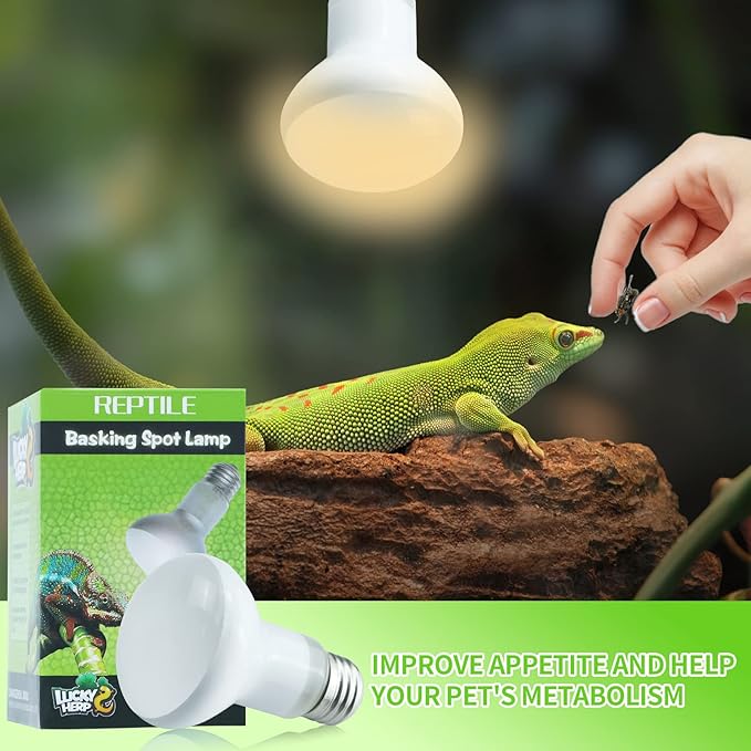 LUCKY HERP 2 Pack 50W Reptile Heat Lamp Bulb (2nd Gen), Amphibian Basking Light Bulb, Reptile Daylight Bulb for Turtle, Bearded Dragon, Lizard Heating Use LUCKYHERP