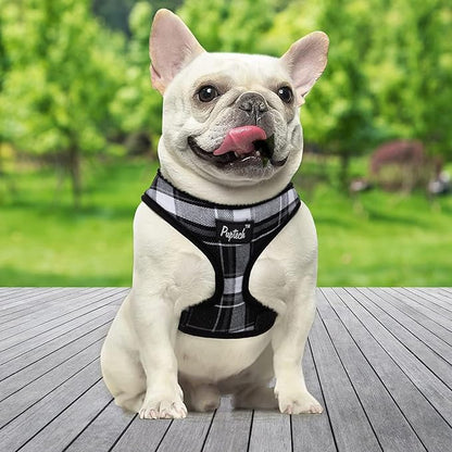 PUPTECK Soft Mesh Dog Harness and Leash Set Pet Puppy Cat Comfort Padded Vest No Pull Harnesses, Black, S PUPTECK