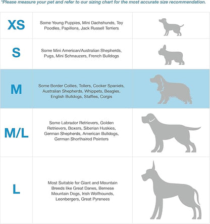 Blue-9 Buckle-Neck Balance Harness, Fully Customizable Fit No-Pull Harness, Ideal for Dog Training and Obedience, Made in The USA, Black, Medium Blue-9