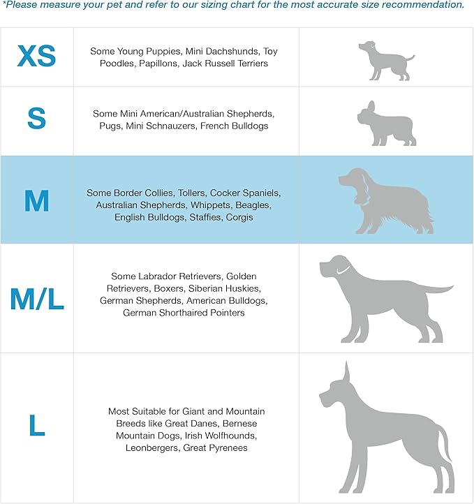 Blue-9 Buckle-Neck Balance Harness, Fully Customizable Fit No-Pull Harness, Ideal for Dog Training and Obedience, Made in The USA, Orange, Medium Blue-9