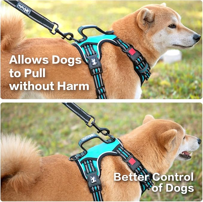 PoyPet No Pull Dog Harness, No Choke Front Clip Reflective Dog Vest with Soft Padded Vertical Handle, 3 Leash Attachments for Small Medium Large Dogs (Mint Blue,L) PoyPet