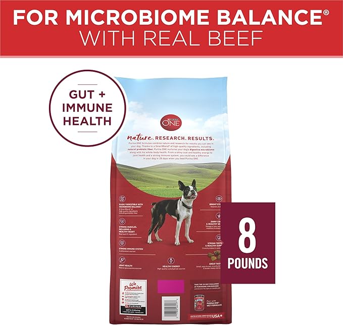 Purina ONE Small Bites Beef and Rice Formula Small High Protein Dry Dog Food Natural With Added Vitamins, Minerals and Nutrients - 8 lb. Bag - PAWPICO