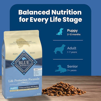 Blue Buffalo Life Protection Formula Puppy Dry Dog Food with DHA and ARA, Made with Natural Ingredients, Chicken & Brown Rice Recipe, 34-lb Bag - PAWPICO