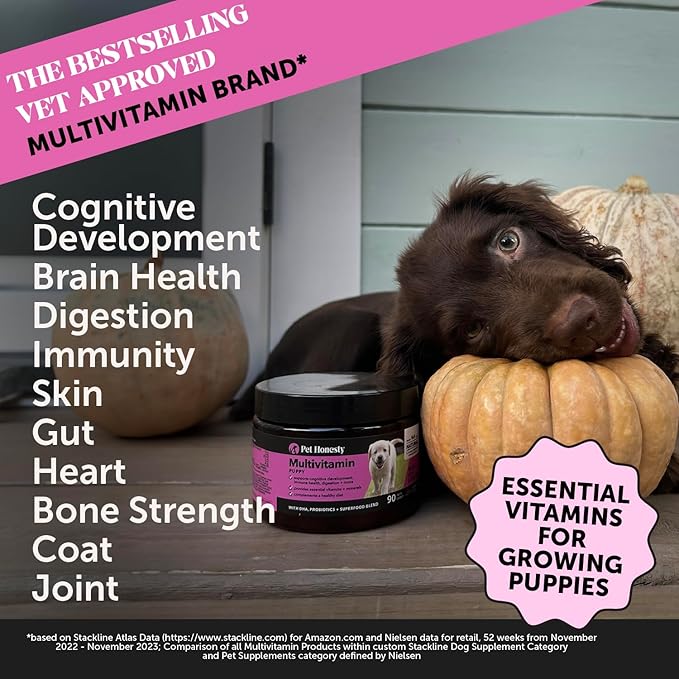 Pet Honesty Multivitamin Puppy Treats - Essential Dog Supplements & Vitamins for Learning and Cognitive Development- Probiotics, Omega Fish Oil for Health & Heart, Immune Health - Dog Health Supplies PetHonesty