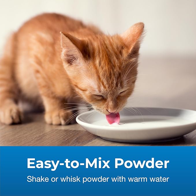PetAg KMR 2nd Step Kitten Weaning Food - 14 oz, Pack of 2 - Powdered Kitten Weaning Formula with DHA, Natural Milk Protein, Vitamins & Minerals for Kittens 4-8 Weeks Old - Easy to Digest - PAWPICO