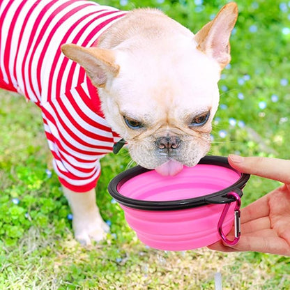 SLSON Collapsible Dog Bowls, 2 Pack, Portable Pet Feeding Watering Dish for Traveling with Carabiners (Small, Orange+Pink) - PAWPICO