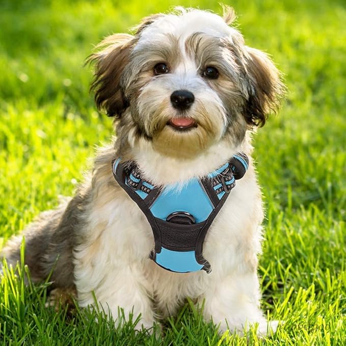 rabbitgoo Dog Harness, No-Pull Pet Harness with 2 Leash Clips, Adjustable Soft Padded Dog Vest, Reflective No-Choke Pet Oxford Vest with Easy Control Handle for Small Dogs, Blue, S - PAWPICO