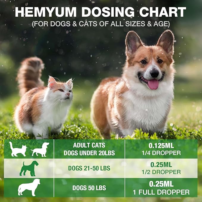 Pet Hemp Oil for Dogs and Cats - Organic Hemp Extract Drops, Sleep Aid Anxiety, Stress, Hip & Joint Pain Relief, Dog Calming Treats Rich in Omega 3-6-9 - Natural Pet Hemp Oil Hemyum