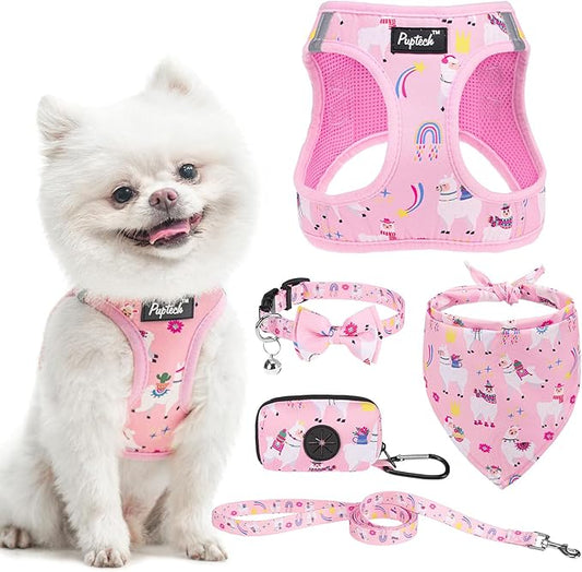 PUPTECK Adjustable Dog Harness Collar and Leash Set, Step in No Pull Pet Harness for Small Medium Dogs Puppy Cats Outdoor Walking, Soft Mesh Padded Reflective Vest Harnesses, Light Pink Alpaca, S PUPTECK