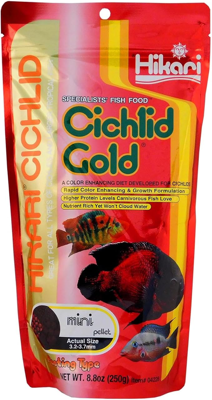 Hikari 8.8-Ounce Cichlid Gold Floating Pellets for Pets, Mini Hikari