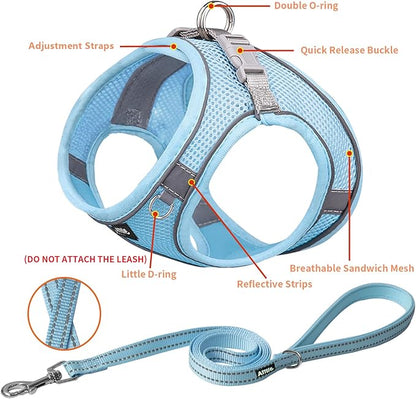 AIITLE Small Harness for Puppy with A Leash - Spring Dog Vest Harness with Super Breathable Mesh, Reflective No-Pull Pet Harness for Outdoor Walking, Camping for Small Dogs, Cats Pure Blue XXS AIITLE-FORPETSBETTERLIFE