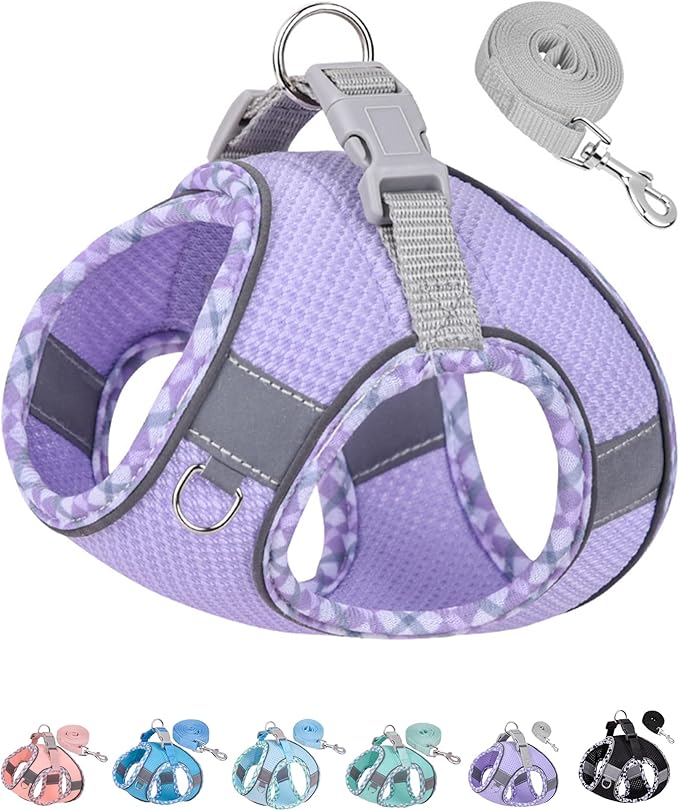 Petank Dog Harness for Small Medium Dogs No Pull, Puppy Harness and Leash Set, Easy Walk Dog Harness for Walking, Running, Training, Small Dog Harness, Medium Dog Harness (Purple, M) Petank