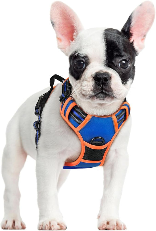 rabbitgoo Dog Harness No Pull with 2 Leash Clips, Adjustable Soft Padded, Reflective Oxford No Choke Pet Vest with Easy Control Handle for Small Dogs, Blue & Orange, S rabbitgoo