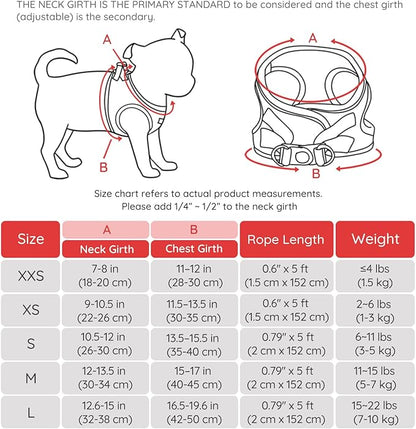 BELLA & PAL Puppy Harness with Leash Set, Dog Harness for Small Dogs No Pull, Dog Leash for Small Dogs, Step in Harness for Extra Small Dogs, Red Harness, XXS BELLAPAL