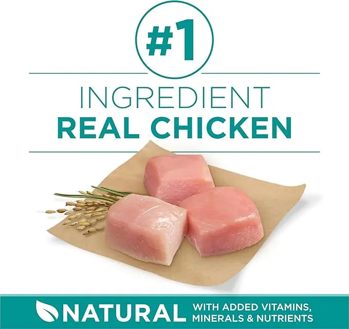 Purina One Plus Digestive Health Formula Dry Dog Food Natural with Added Vitamins, Minerals and Nutrients - 31.1 Lb. Bag - PAWPICO