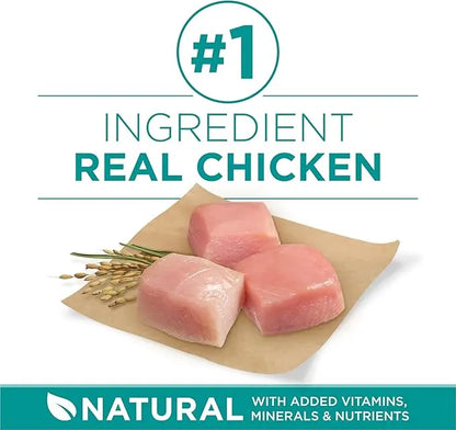 Purina One Plus Digestive Health Formula Dry Dog Food Natural with Added Vitamins, Minerals and Nutrients - 31.1 Lb. Bag - PAWPICO