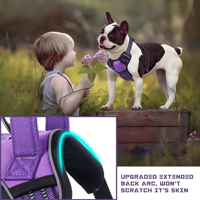 BUMBIN Dog Harness for Large Dogs, No Pull Adjustable No Choke Pet Vest with Dog Leash Fit Smart Reflective Pet Walking Harness for Training Easy Control Soft Handle Purple S BUMBIN