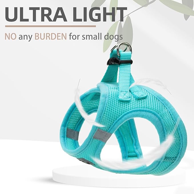 PUPTECK Adjustable Dog Harness Collar and Leash Set Step in No Pull Pet Harness for Small Medium Dogs Puppy and Cats Outdoor Walking Running, Soft Mesh Padded Reflective Vest Harnesses, Turquoise S PUPTECK
